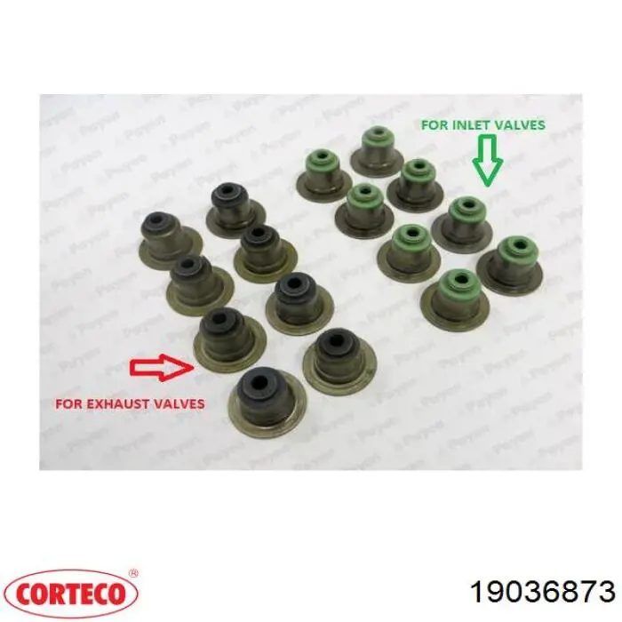 Comprar 19036873 Corteco Juego de retenes de válvula de admisión y escape