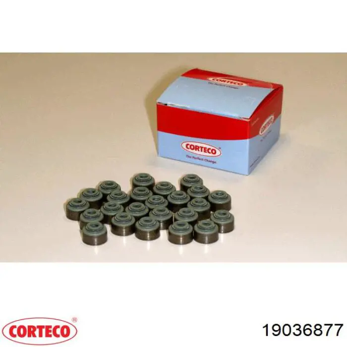 Retenes de válvulas DAF 1813133 precio, desde 4,08 EUR