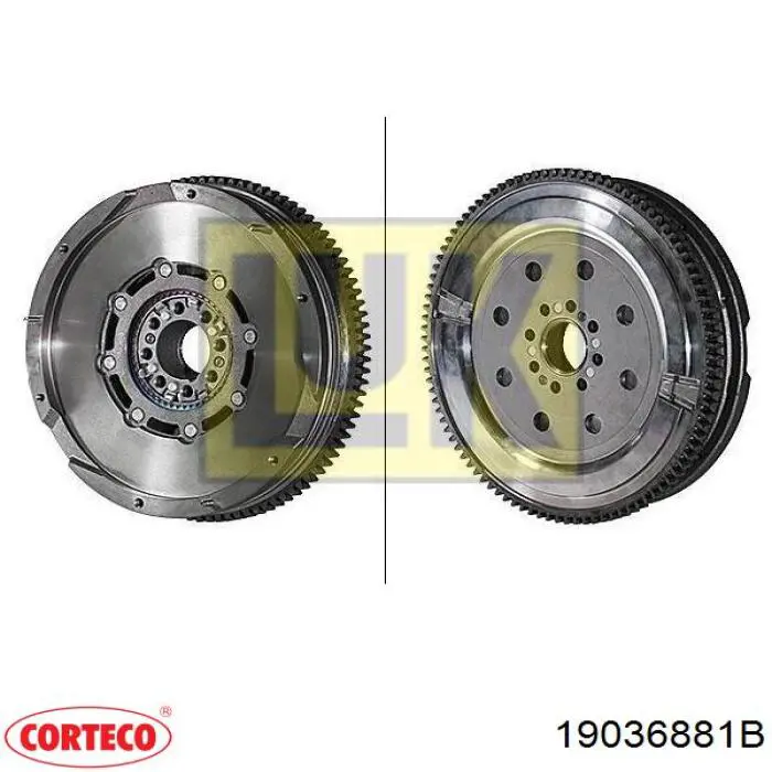 19036881B Corteco Anillo retén cigüeñal