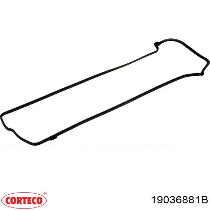 Retén del cigüeñal Corteco 19036881B precio, desde 22,95 EUR