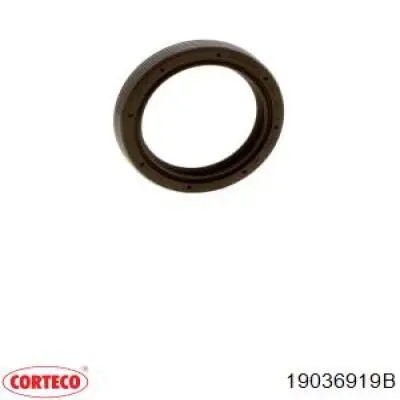 Retén trasero del árbol de levas Corteco 19036919B precio, desde 5,81 EUR