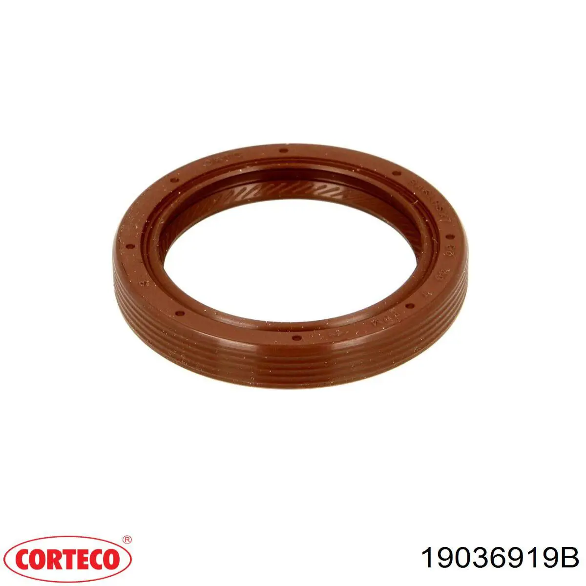Comprar 19036919B Corteco Retén trasero del árbol de levas