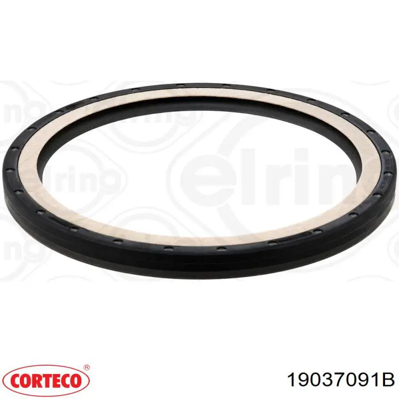 Retén de cigüeñal 19037091B Corteco
