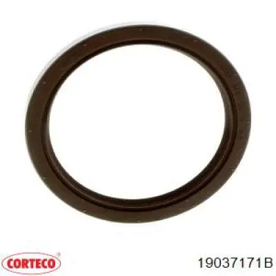 Retén de cigüeñal frontal Corteco 19037171B precio, desde 11,78 EUR