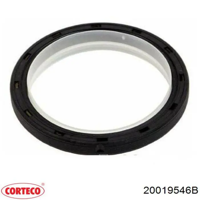 20019546B Corteco Anillo retén cigüeñal