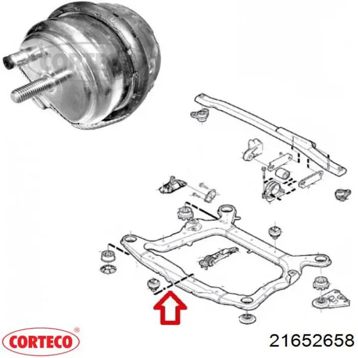 Taco de motor delantero Cautex 250063