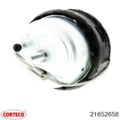 250063 Cautex Soportes de motor delantero