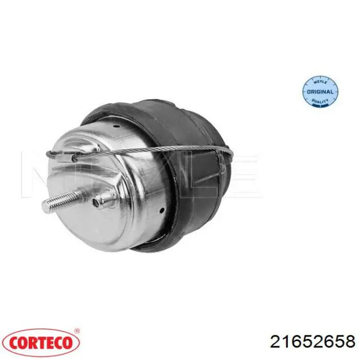 Comprar 250063 Cautex Soporte de motor delantero
