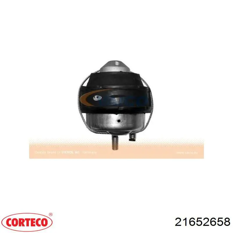 Soporte de motor delantero 250063 Cautex
