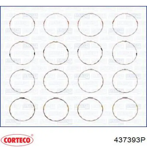 Kit completo de juntas Glaser A3054700 precio, desde 174,21 EUR