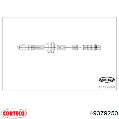 49379250 Corteco