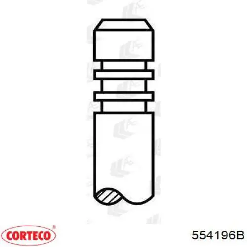 554196B Corteco válvula de admisión