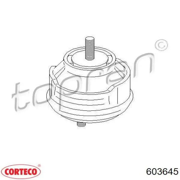 Comprar 201553 Cautex Soporte de motor derecho