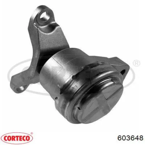 Soporte de motor derecho 201552 Cautex
