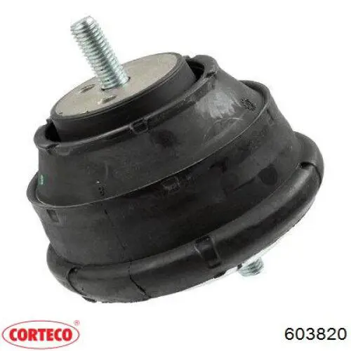Soporte del motor izquierdo/derecho Cautex 201593 precio, desde 39,56 EUR