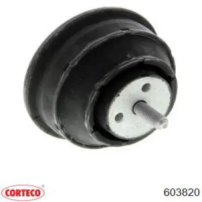 Comprar 201593 Cautex Soporte de motor, Izquierda / Derecha