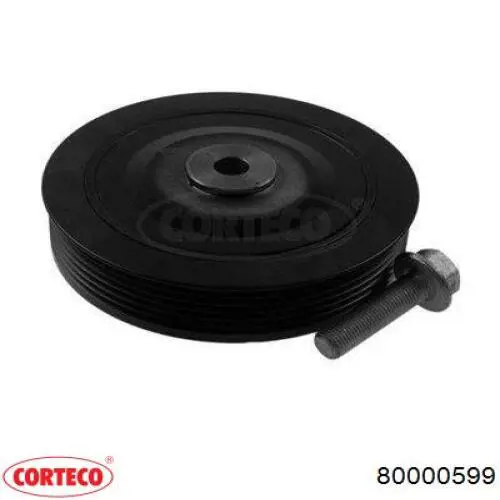 80000599 Corteco Dámper