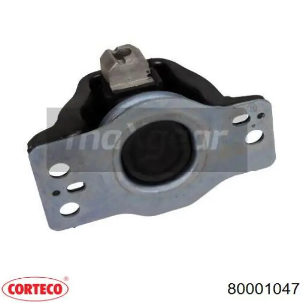 Comprar 020454 Cautex Soporte de motor derecho