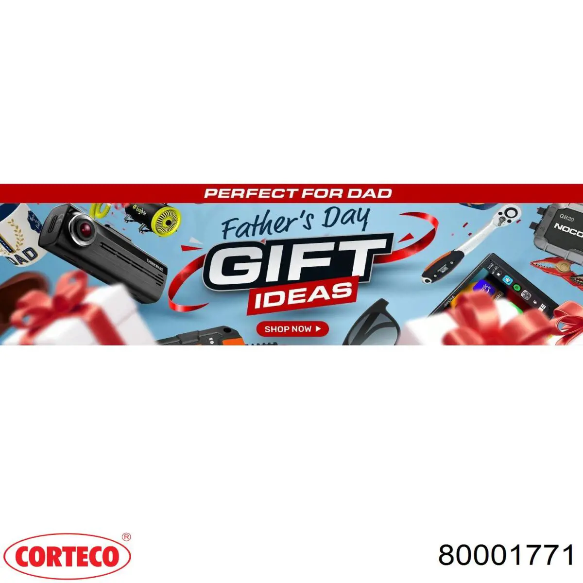 80001771 Corteco Filtro antipolen