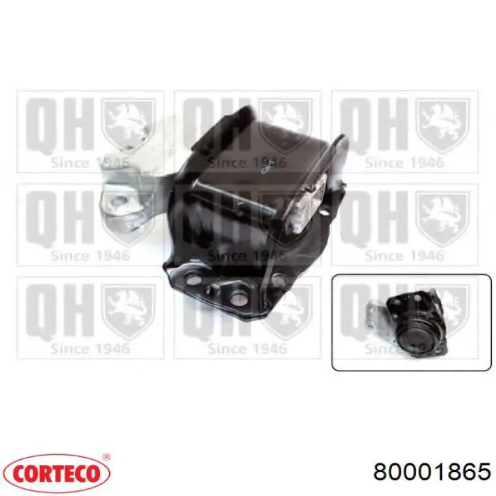80001865 Corteco Soporte de motor derecho