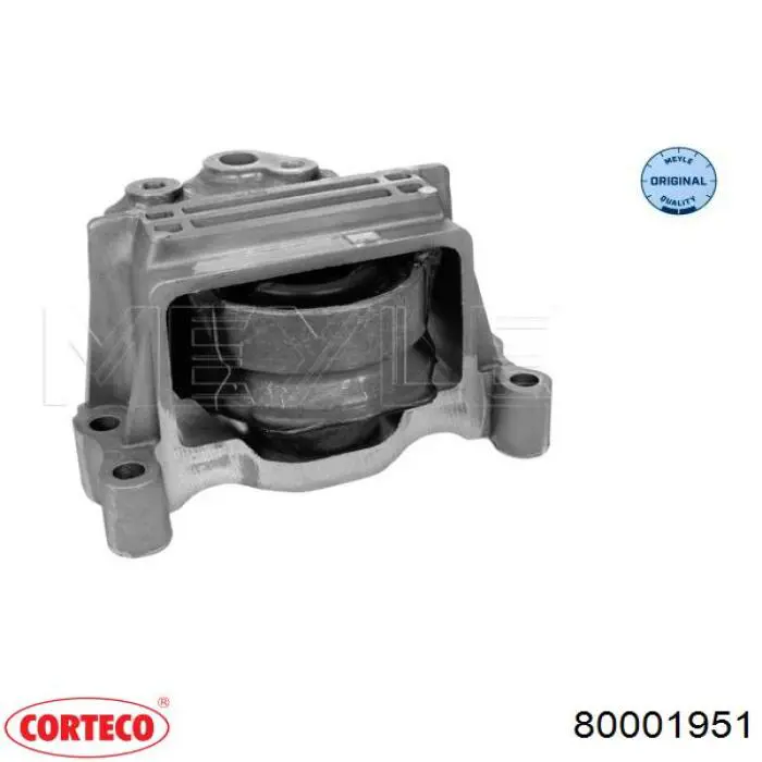 80001951 Corteco