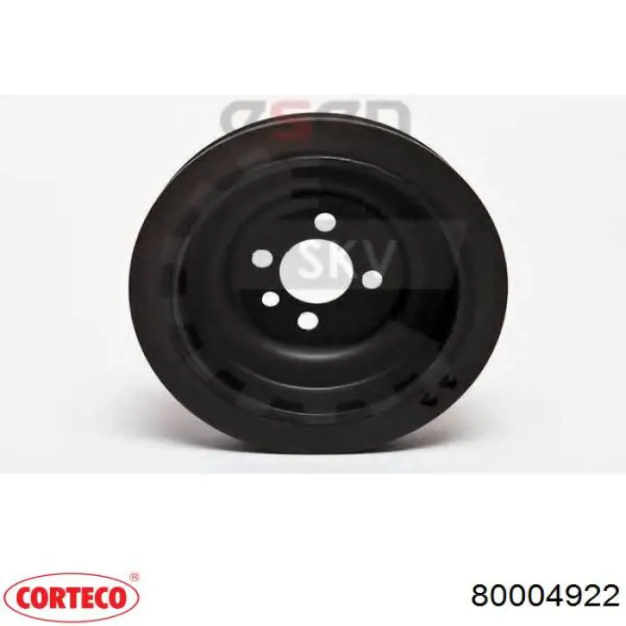 Polea, cigüeñal Volkswagen Golf 8 CD1, DA1