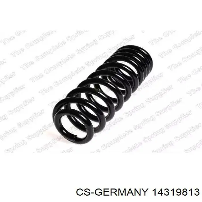 14319813 CS Germany Muelle trasero