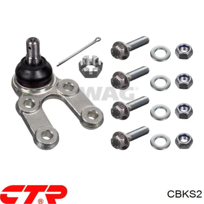 Rótula inferior de suspensión CTR CBKS2 precio, desde 29,98 EUR
