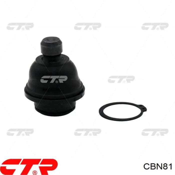 CBN81 CTR Rótula inferior de suspensión