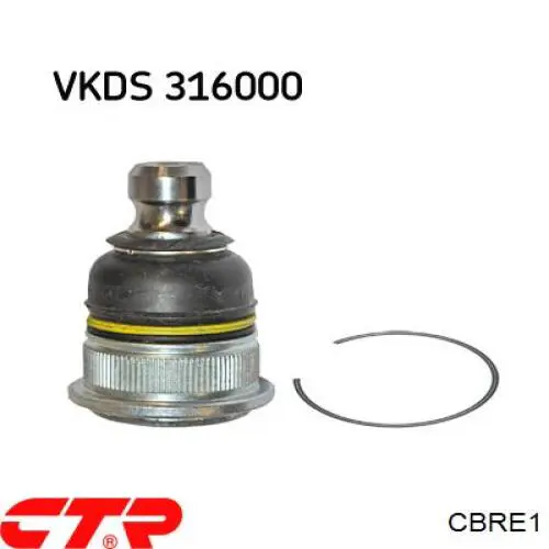 Rótula inferior de suspensión CTR CBRE1 precio, desde 19,19 EUR