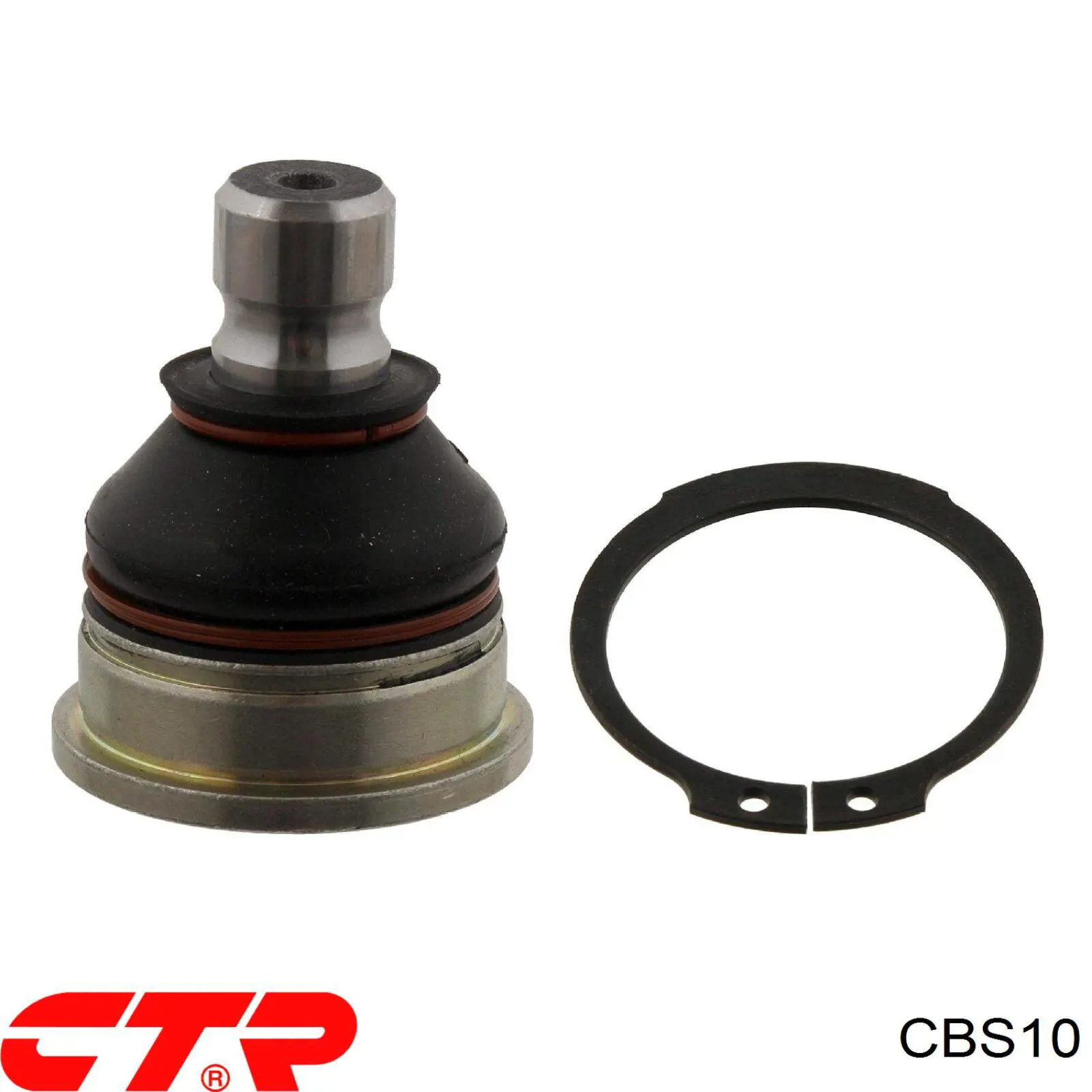 Rótula inferior de suspensión CTR CBS10 precio, desde 17,68 EUR