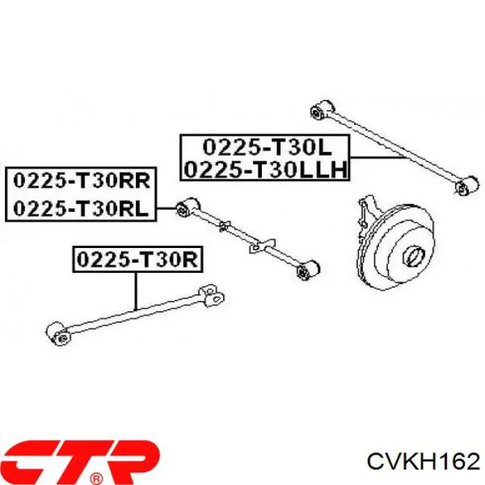 CVKH162 CTR Buje del brazo transversal trasero