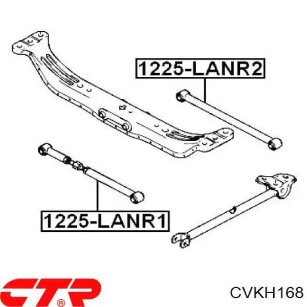 Buje de mangueta trasera CVKH168 CTR