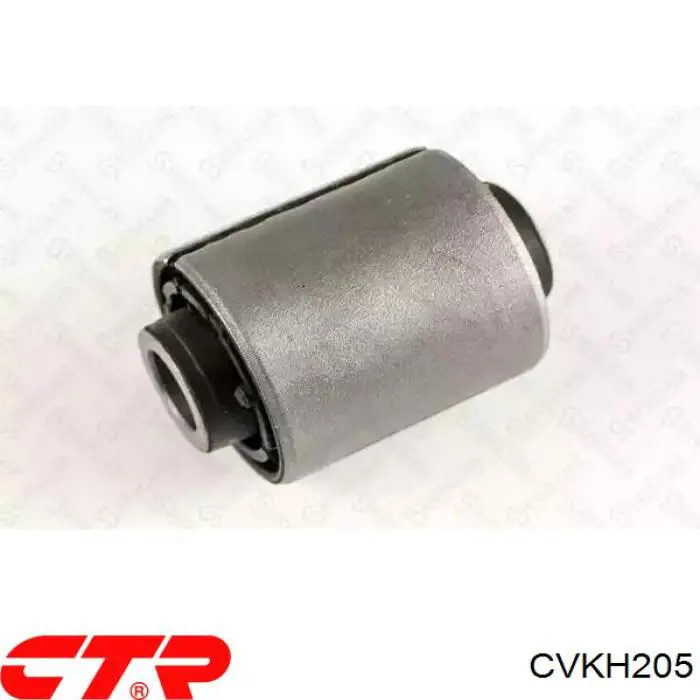 CVKH205 CTR Buje de mangueta trasera