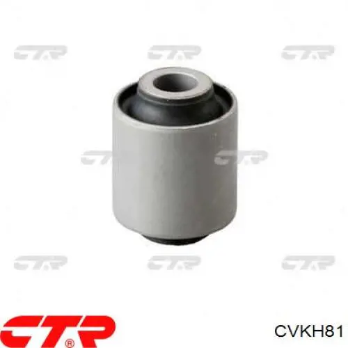 Comprar CVKH81 CTR Buje de mangueta trasera