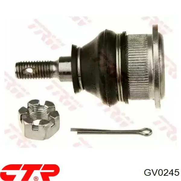 GV0245 CTR Buje del brazo de suspensión delantero superior