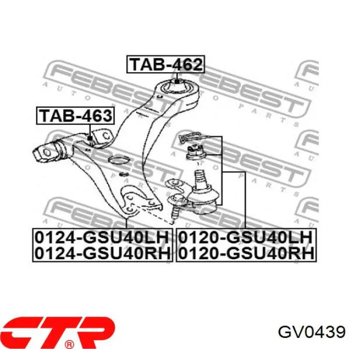 GV0439 CTR Silentblock de brazo de suspensión delantero inferior