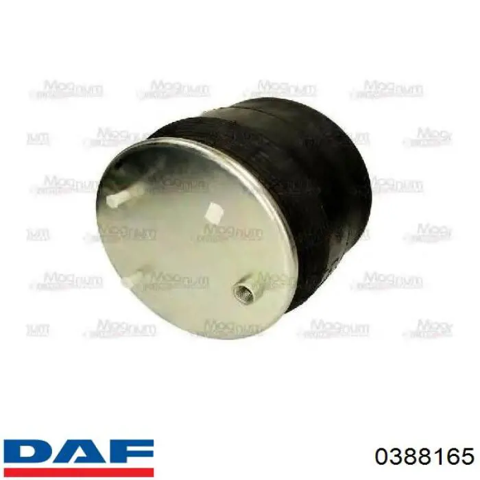 0388165 DAF muelle neumático, suspensión, eje trasero