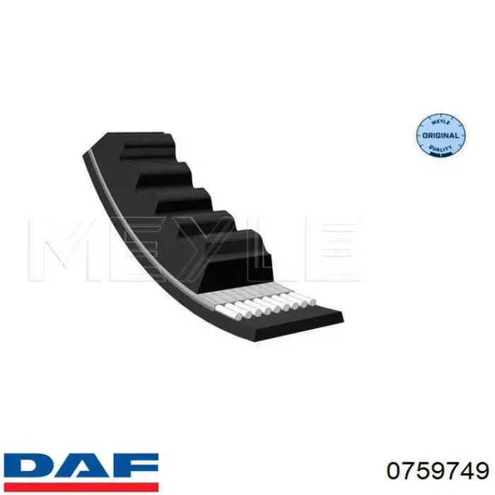 Correa Trapezoidal Gates 6471MC - Repuesto De Alta Calidad Para Transmisiones Industriales Y Automoción