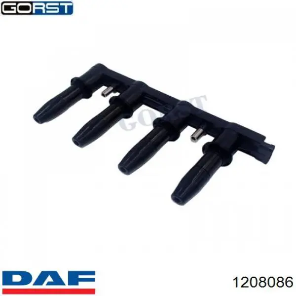 1208086 DAF correa trapezoidal