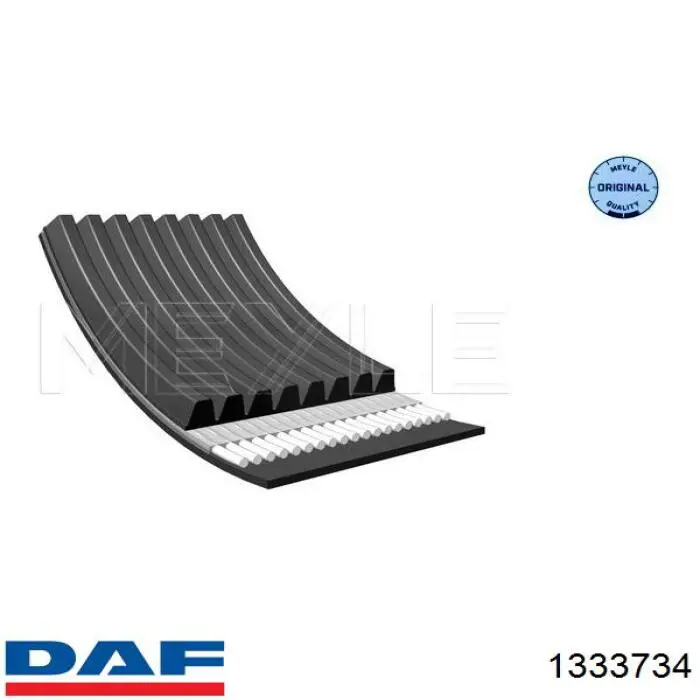 1333734 DAF correa trapezoidal