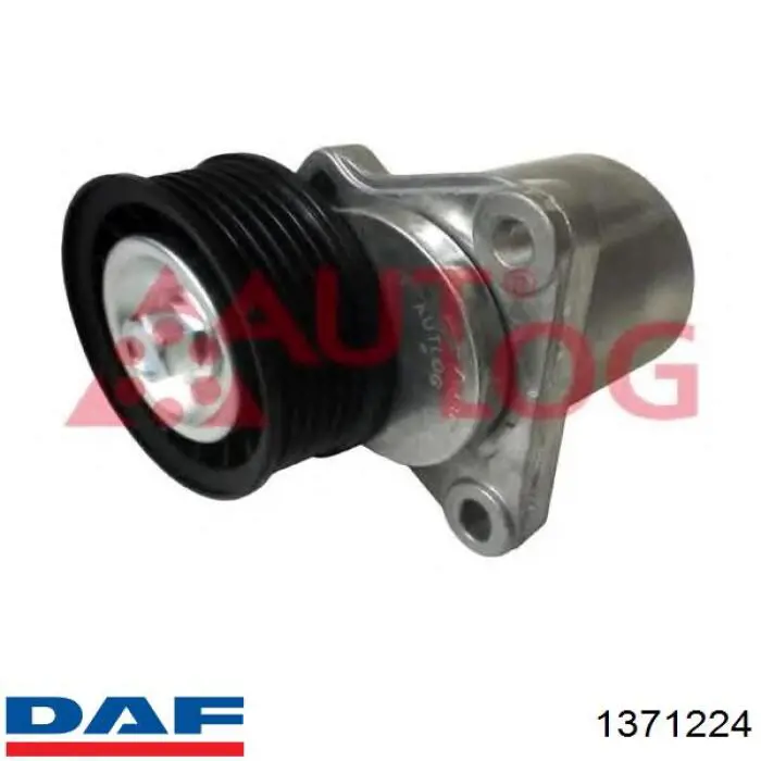 Tensor de la correa trapecial DAF 1371224 precio, desde 31,39 EUR