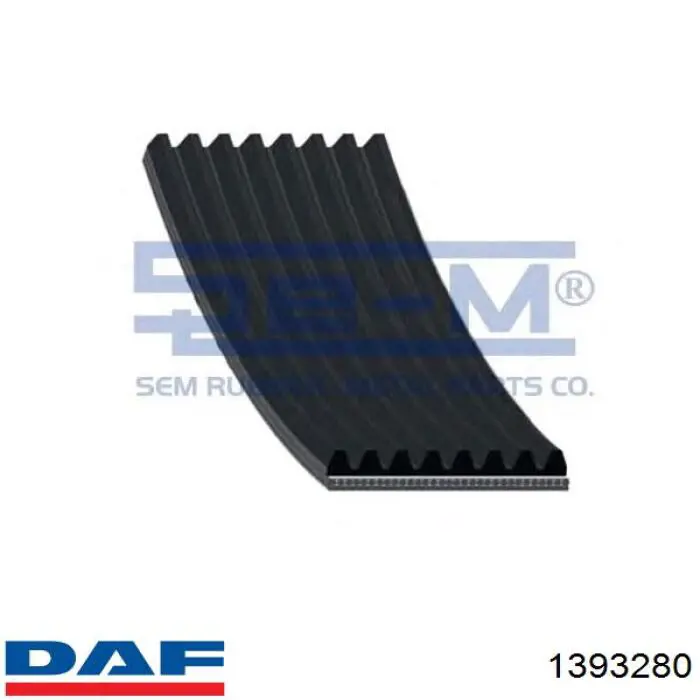 1393280 DAF correa trapezoidal