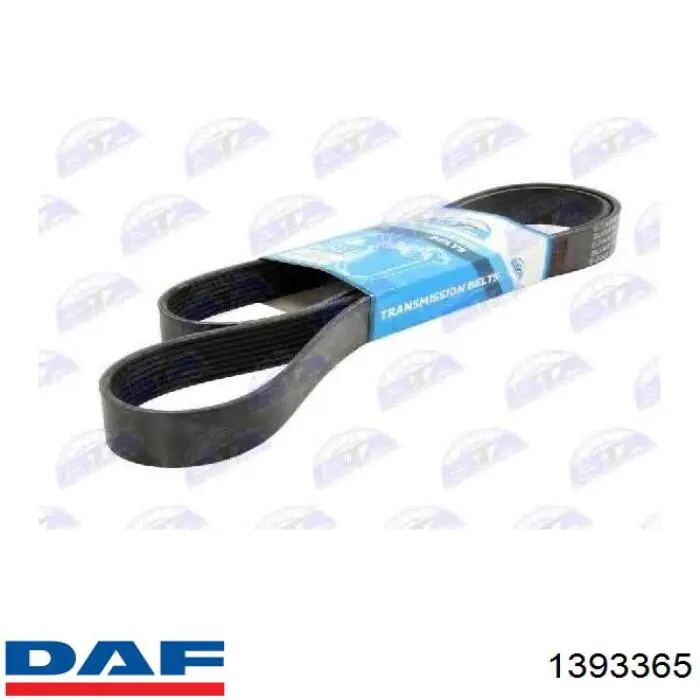 Correa de transmisión trapezoidal DAF 1393365 precio, desde 21,98 EUR