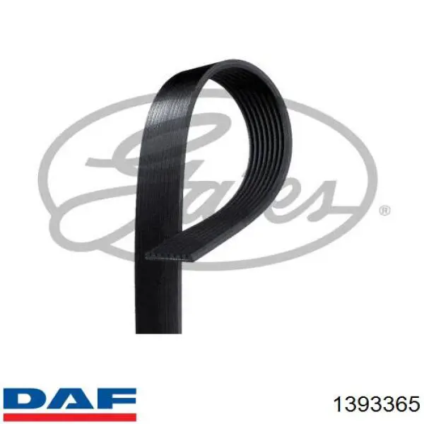 Comprar 1393365 DAF Correa trapezoidal