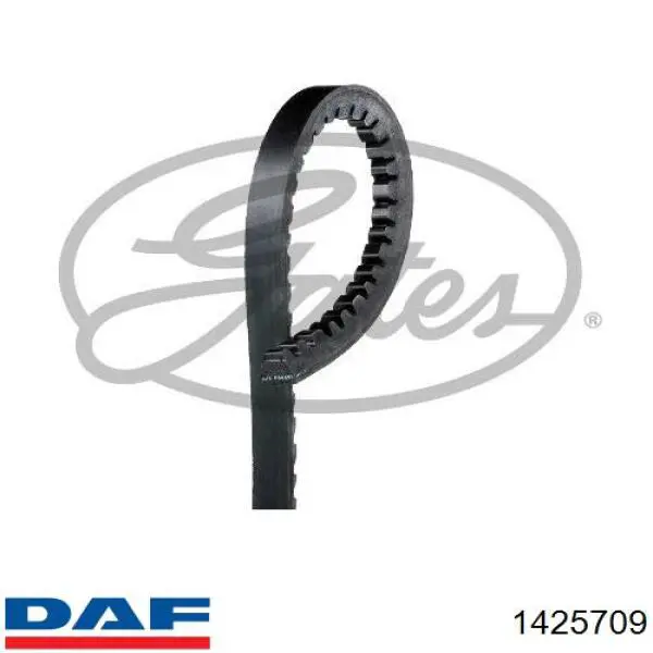 1425709 DAF Correa poly v