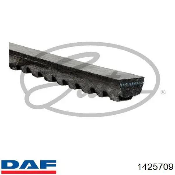 Comprar 1425709 DAF Correa trapezoidal