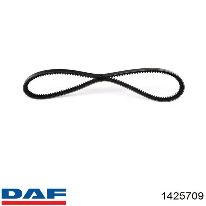 1425709 DAF correa trapezoidal