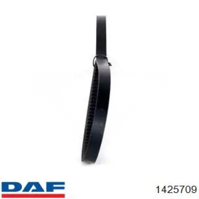 Correa de transmisión trapezoidal DAF 1425709 precio, desde 6,23 EUR