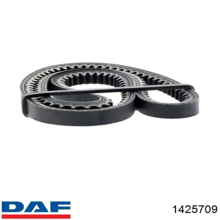 Correa de alternador 1425709 DAF